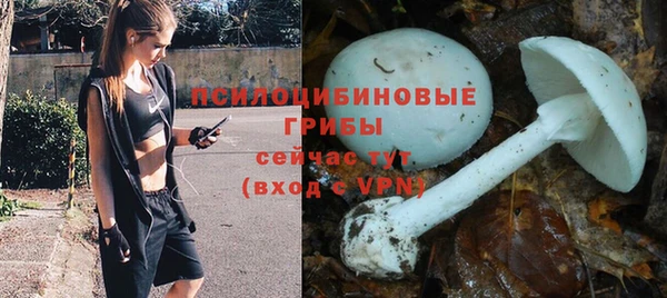 прущая мука Абаза