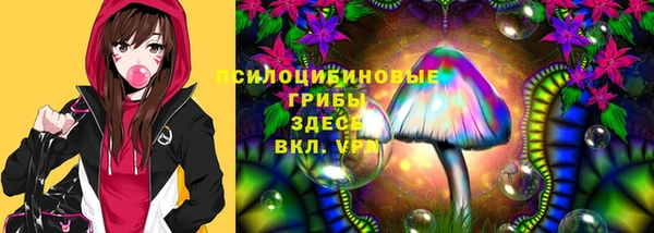 прущая мука Абаза